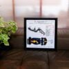 Customize F1 3D Track Display Frame for LEGO - SOLO