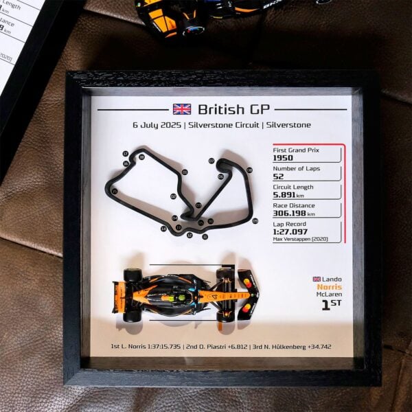 Customize F1 3D Track Frame - SOLO