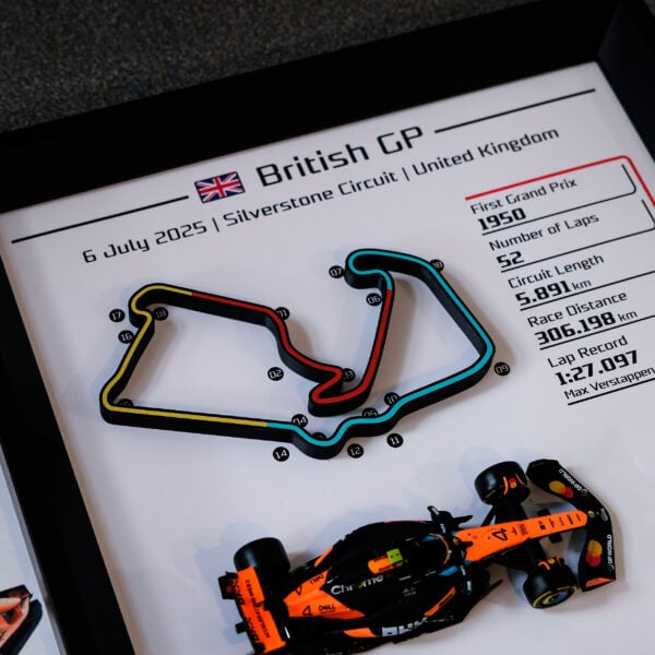 Customize F1 3D Track Frame - SOLO